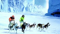 Book Jacket: What begins as a training run with sled dogs turns into a race against time for Tatum and her new friend, a Siberian Yupik boy named Cole. When...