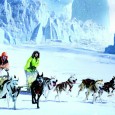 Book Jacket: What begins as a training run with sled dogs turns into a race against time for Tatum and her new friend, a Siberian Yupik boy named Cole. When […]